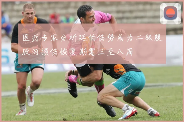 医疗专家分析廷伯伤势或为二级腹股沟损伤恢复期需三至八周