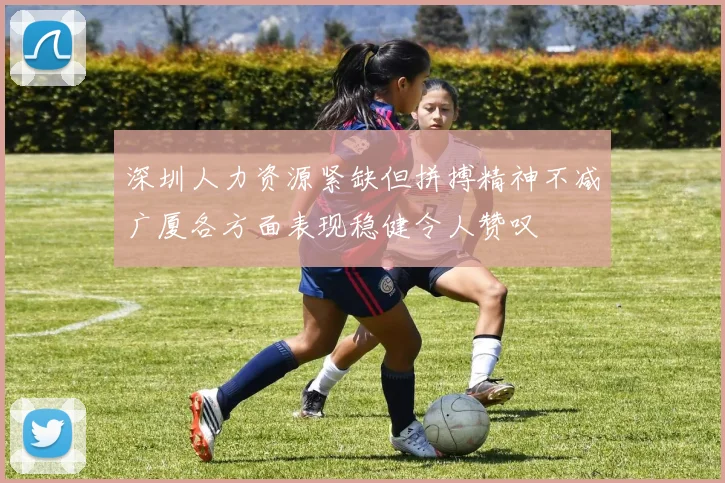 深圳人力资源紧缺但拼搏精神不减广厦各方面表现稳健令人赞叹